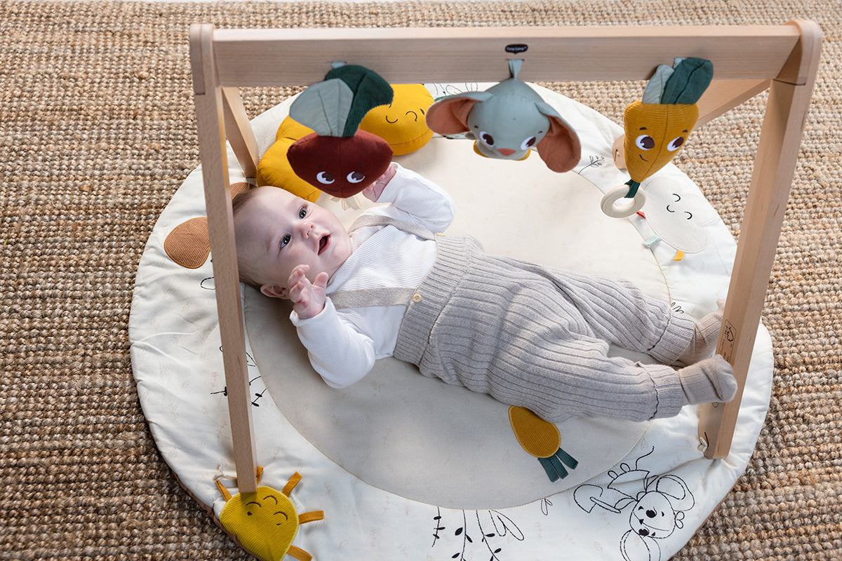 Garden of Adventures Luxe Developmental Gymini®