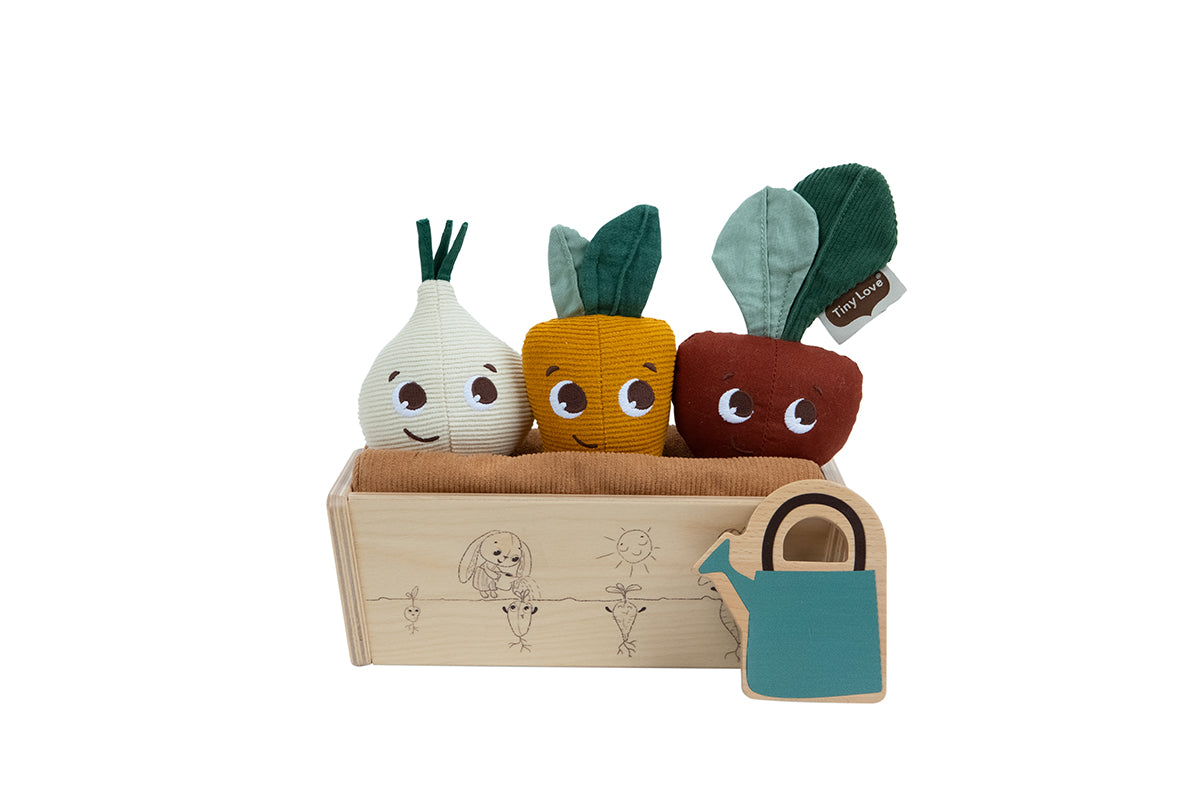 Garden of Adventures Garden Kit