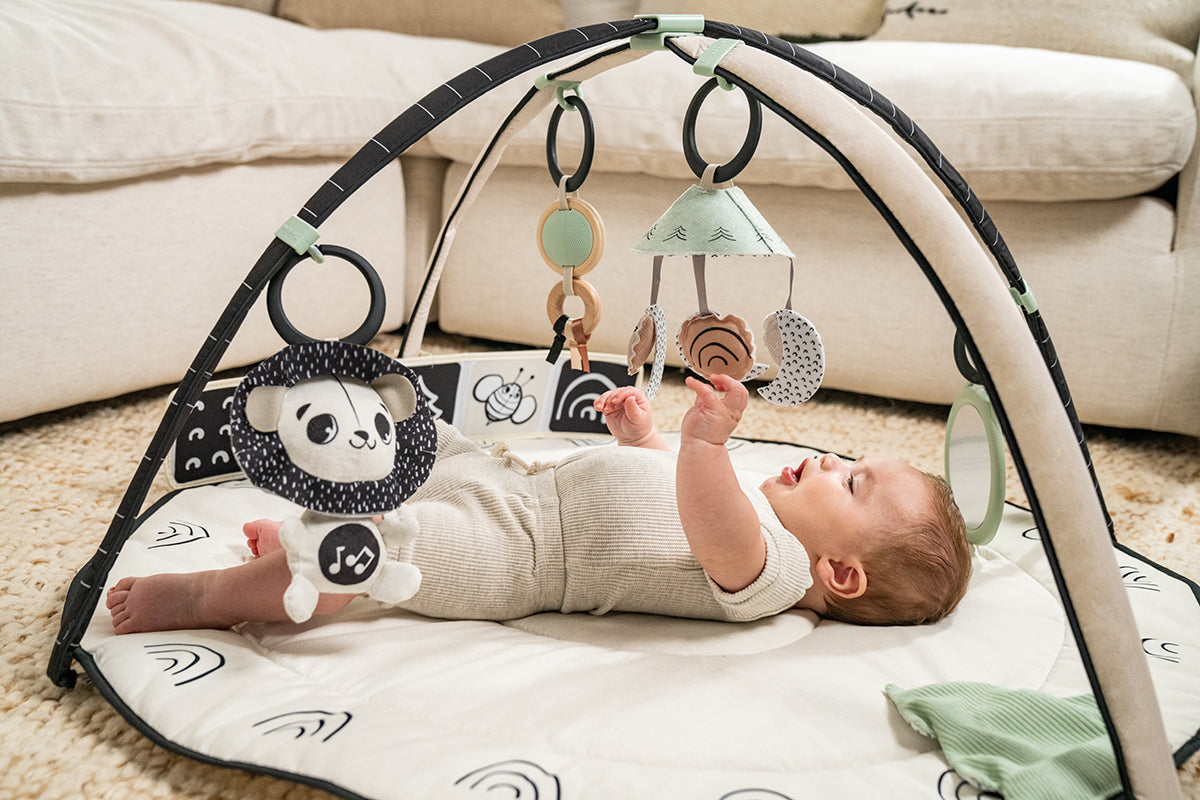 Black & White Décor Developmental Gymini®