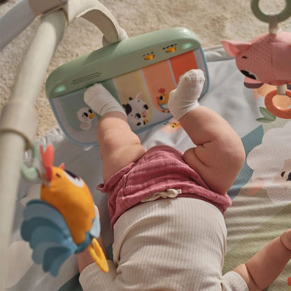 Farmers Funday Bundle: Dynamic Gymini®, My First Sound Puzzle, 2-in-1 Sensory Tummy Time Toy