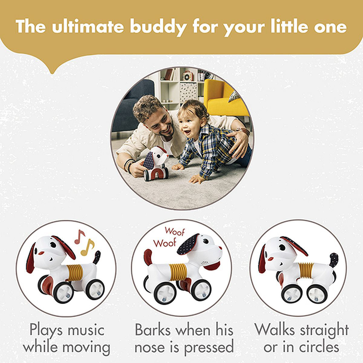 Tiny Rockers Bundle: Electronic Accordion, Shape Sorter, Follow Me Charlie