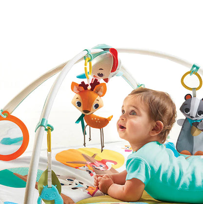 Into the Forest Deluxe Gymini