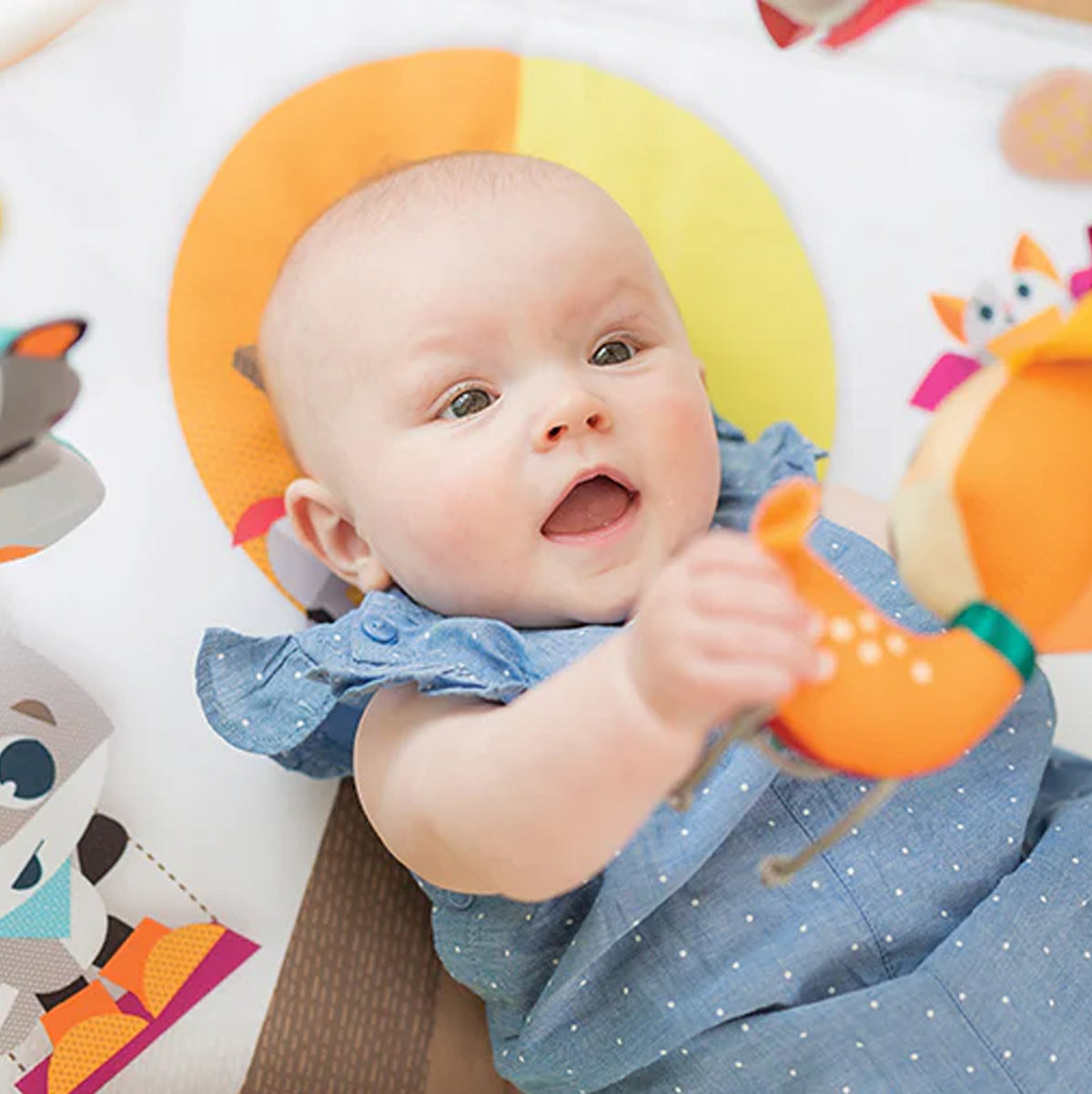 Into the Forest Deluxe Gymini