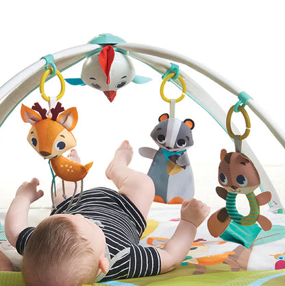 Into the Forest Deluxe Gymini