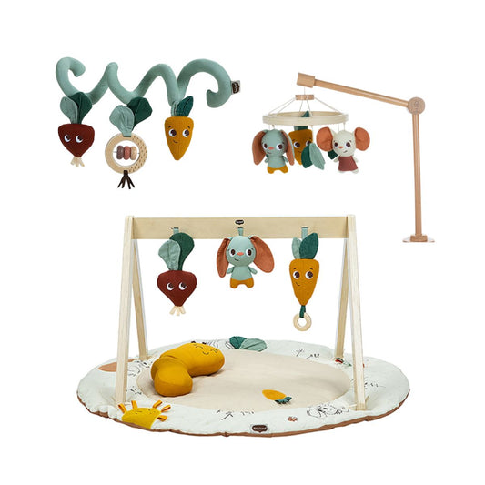 Garden of Adventures Bundle: Luxe Developmental Gymini®, Activity Spiral, Wooden Cot Mobile