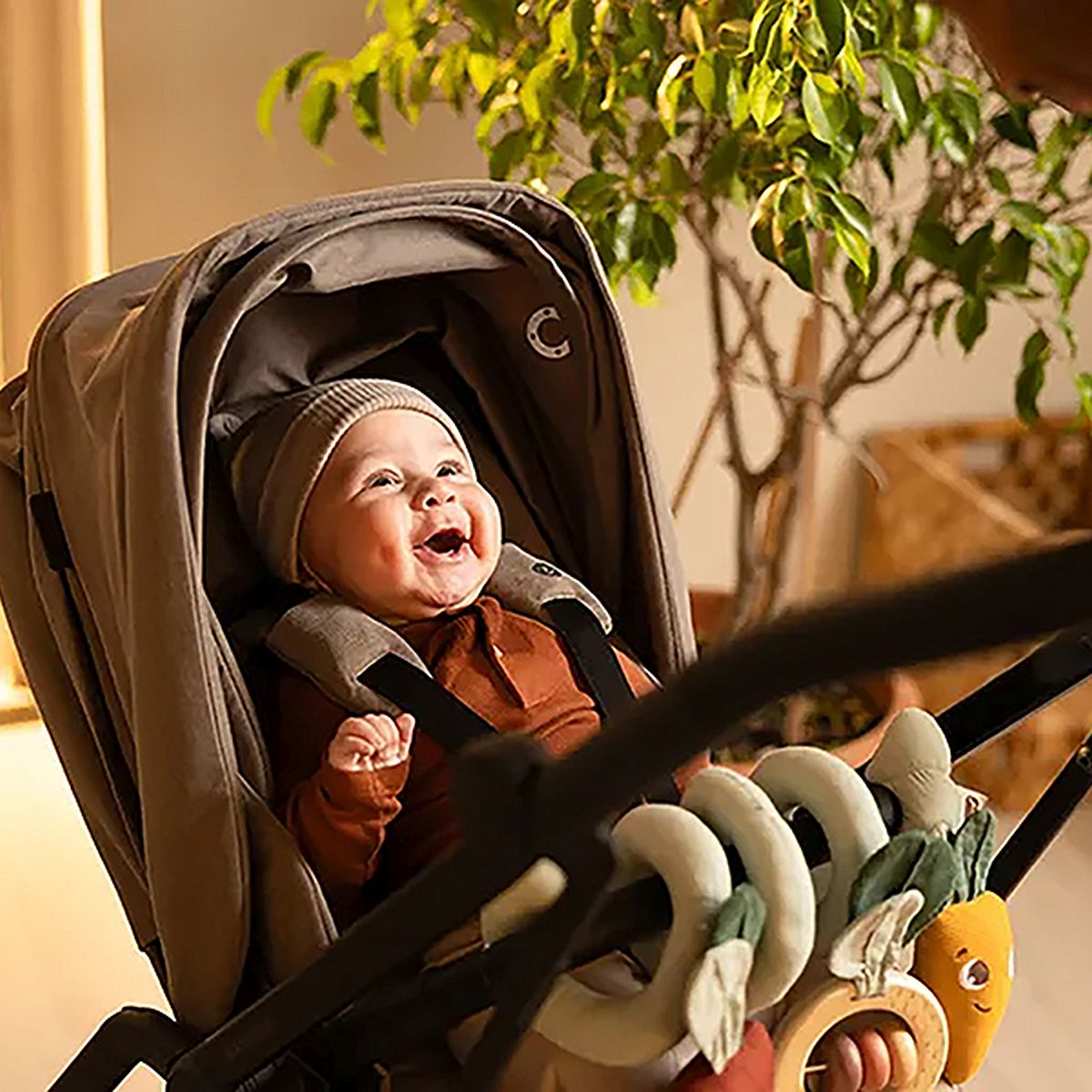 Garden of Adventures Bundle: Luxe Developmental Gymini®, Activity Spiral, Wooden Cot Mobile