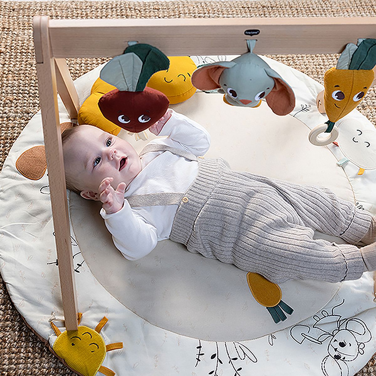 Garden of Adventures Bundle: Luxe Developmental Gymini®, Activity Spiral, Wooden Cot Mobile