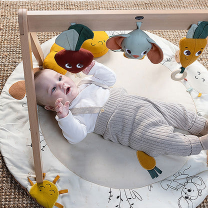 Garden of Adventures Bundle: Luxe Developmental Gymini®, Activity Spiral, Wooden Cot Mobile