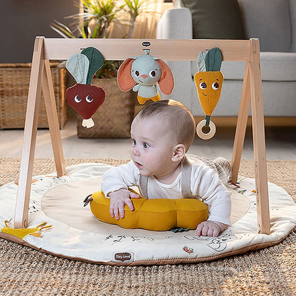 Garden of Adventures Bundle: Luxe Developmental Gymini®, Activity Spiral, Wooden Cot Mobile