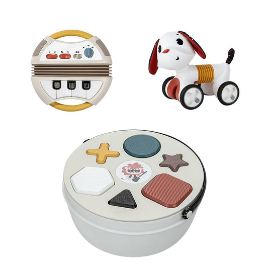 Tiny Rockers Bundle: Electronic Accordion, Shape Sorter, Follow Me Charlie