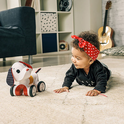 Tiny Rockers Bundle: Electronic Accordion, Shape Sorter, Follow Me Charlie